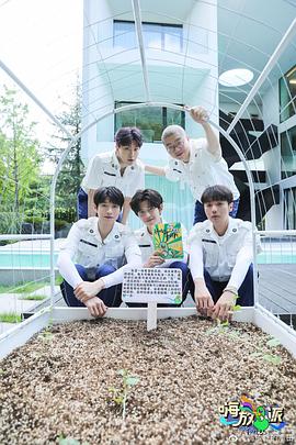 成人在线观看AV海报